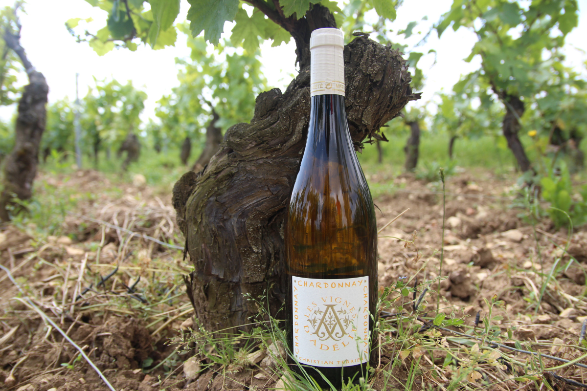 Les Vignes d'Adélie Chardonnay Vin de France